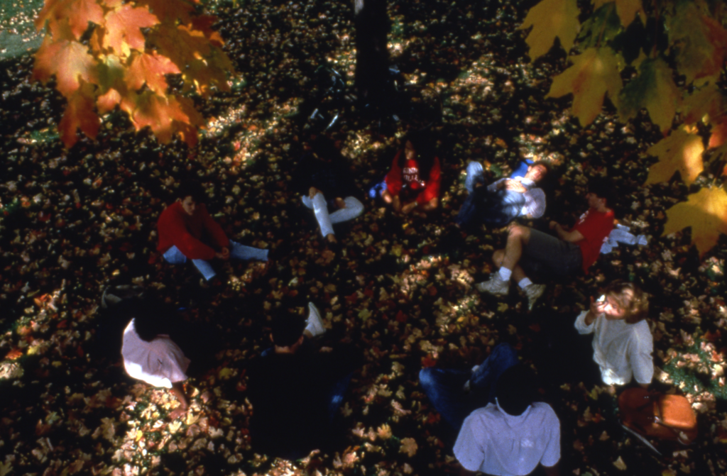 A Circle of Students Sit Beneath a Tree in the Fall